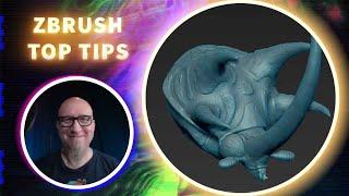 SculptrisPro for Retaining Details in Your 3D Model  - ZBrush Top Tips - TS Wittelsbach