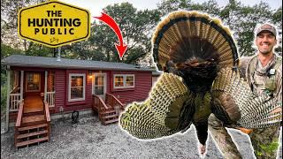 Turkey Hunting at OUR CABIN!!