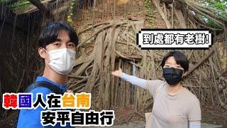 Taiwan Travel【EP.2-2台南】三個韓國人的台南旅遊! 安平古堡&安平樹屋 已經喜歡上台南的氣氛