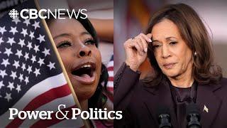 Democrats dissect where Harris presidential campaign went wrong | Power & Politics