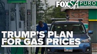 How Trump plans to bring down gas prices