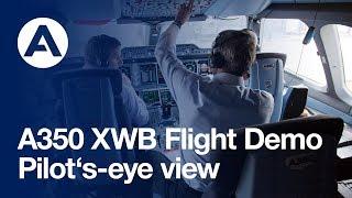 A pilot's-eye view during the A350 XWB flight demonstration