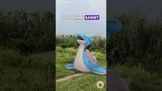 POKEMON ES