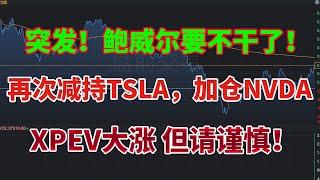 突发！鲍威尔要不干了！再次减持TSLA特斯拉，加仓NVDA英伟达，XPEV大涨，但请谨慎！#aapl #鲍威尔 #特斯拉