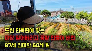 도심 한복판에 있는 마당 밀어버리고 꽃밭 만들어 버린 87세 엄마와 60세 딸.