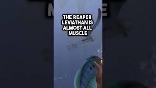 The Secrets Behind The Roar Of The Reaper Leviathan