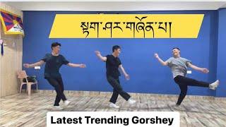 Latest Tibetan Gorshey ༼སྟག་ཤར་གཞོན་པ།༽#tibetangorshey #tibetandance #trendingintibet