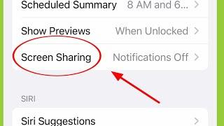 iPhone | Allow Notification on Screen Sharing Settings 14 Pro