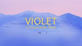 Violet: A Polar Bear Story