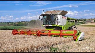 Moisson / Lexion 770 TT avec 10m80 de coupe / SARL THOMAS