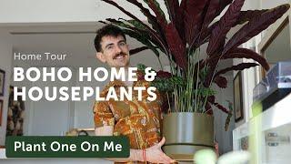 Brian's BOHO Meets Modern HOUSEPLANT HOME Tour — Ep. 364