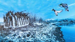 INSANE WHITE  A-FRAME ISLAND POND DUCK HUNT!