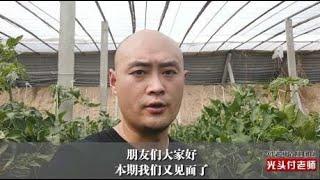 大棚内降温，应该用遮阳网还是降温剂看完你就有答案了