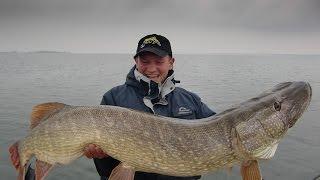 Record breaking Northern Pike Session. Struik-Rovers