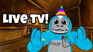  Best Of BubblesVR - LIVE! 