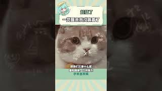 起猛了，一覺醒來我成病毒了 #病毒 #地球 #免疫系統 #倒反天罡