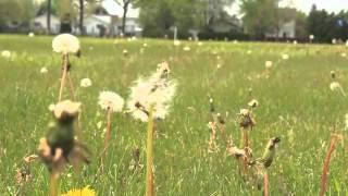 London Ontario Spring scenery