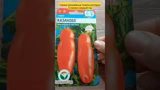 Самые урожайные томаты,которые я сажаю каждый год.