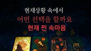 [타로속마음]️‍현재 어떤 선택 속마음 탈탈털어봐요#속마음 #연애운 #재회운