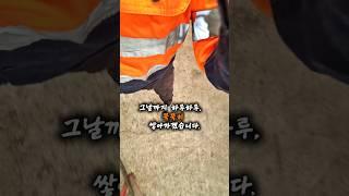 호주 워홀 이야기 성장은, 늘 낯설고 어려운 선택에서 시작 ‍️ #호주워홀 #호주삶 #호주용접사 #바켓용접