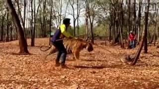 Manyam Puli Making Video   Peter Hein With Tiger Vietnam Location Video