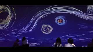 Immersed in Van Gogh