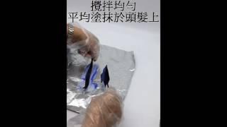 漂粉影片教學