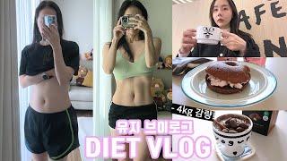 Diet Vlog) How to Maintain After SwitchOn diet? (Maintenance Tips, Diet Meal Plan, Workout Routine)