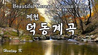 4k 제천 덕동계곡의 물소리 | Beautiful Korean Autumn Valley | Healing Autumn Relaxing Calm