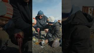 Как живут дети на Чукотке? Рыбалка на краю света с мальчиком Ваней, село Уэлен 