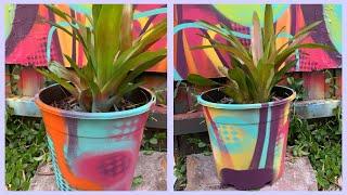 I Used Spray Paint to Decorate this Pot Graffiti Style