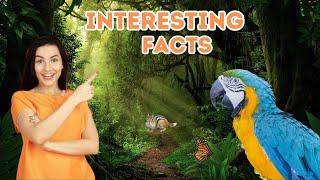 1 Minute facts Around the World | 1 Min Facts | by happy world 4U