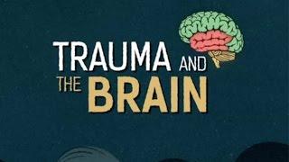 Trauma and the Brain