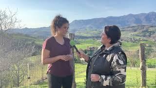 Entrevista a la abogada Montse Morán sobre venta de fincas rústicas / El Campo de Asturias