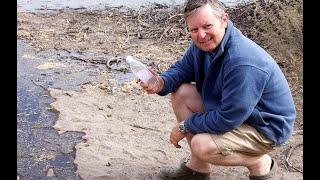 Last Resting Place of the Okavango | IN SEARCH OF A LOST RIVER ep3 @aspwexperience