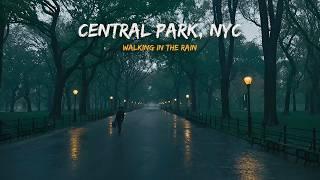 Walking in the Rain CENTRAL PARK, NYC | Binaural Heavy Rain Umbrella Thunder & Nature Sounds