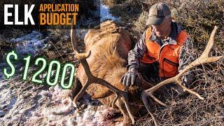 How YOU Can Hunt Elk on a Budget!