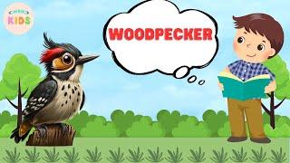 Woodpecker Facts For Kids  Learn All About Woodpeckers | MON Kids