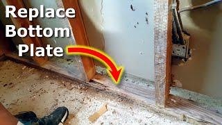 How To Replace Rotted Stud Wall Bottom Plate