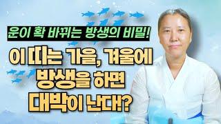 2024년 가을, 겨울 방생으로 인생 역전 위기를 넘기고 대운을 맞을 띠는 무슨띠?[양주용한점집]