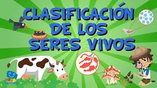 LA CLASIFICACIÓN DE LOS SERES VIVOS| Vídeos Educativos para Niños