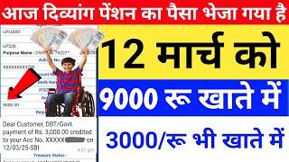 आज दिव्यांग पेंशन का पैसा भेजा गे है | Viklang Pension Ka Paisa Bheja Gaya hai 3000/ रू खाते में |