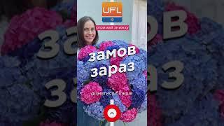 Квіти / Доставка квітів / UFL