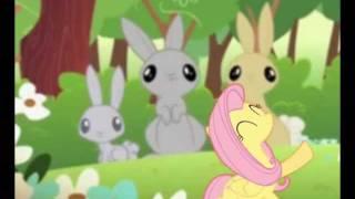 FLUTTERQUEST