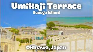 Umikaji Terrace Senegajima | Okinawa, Japan | Food | Travel | Guide | JAPAN Vlog