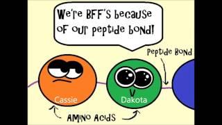 Cell Structure With Dakota and Cassie