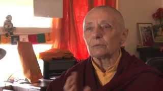 A Joyful Mind visits with Jetsunma Tenzin Palmo