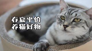 养猫人省钱攻略（春夏篇）