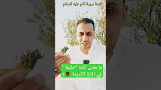 كنت عارف إجابة السؤال ده قبل كده؟ #اكسبلور #learn #لايك #اسئلة_دينية #english #ترند #explore