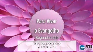 Para viver o Evangelho 128 - Estudo da obra "O Essencial" cap. 13